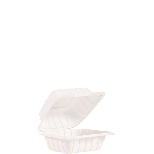 Plastic Hinged Container